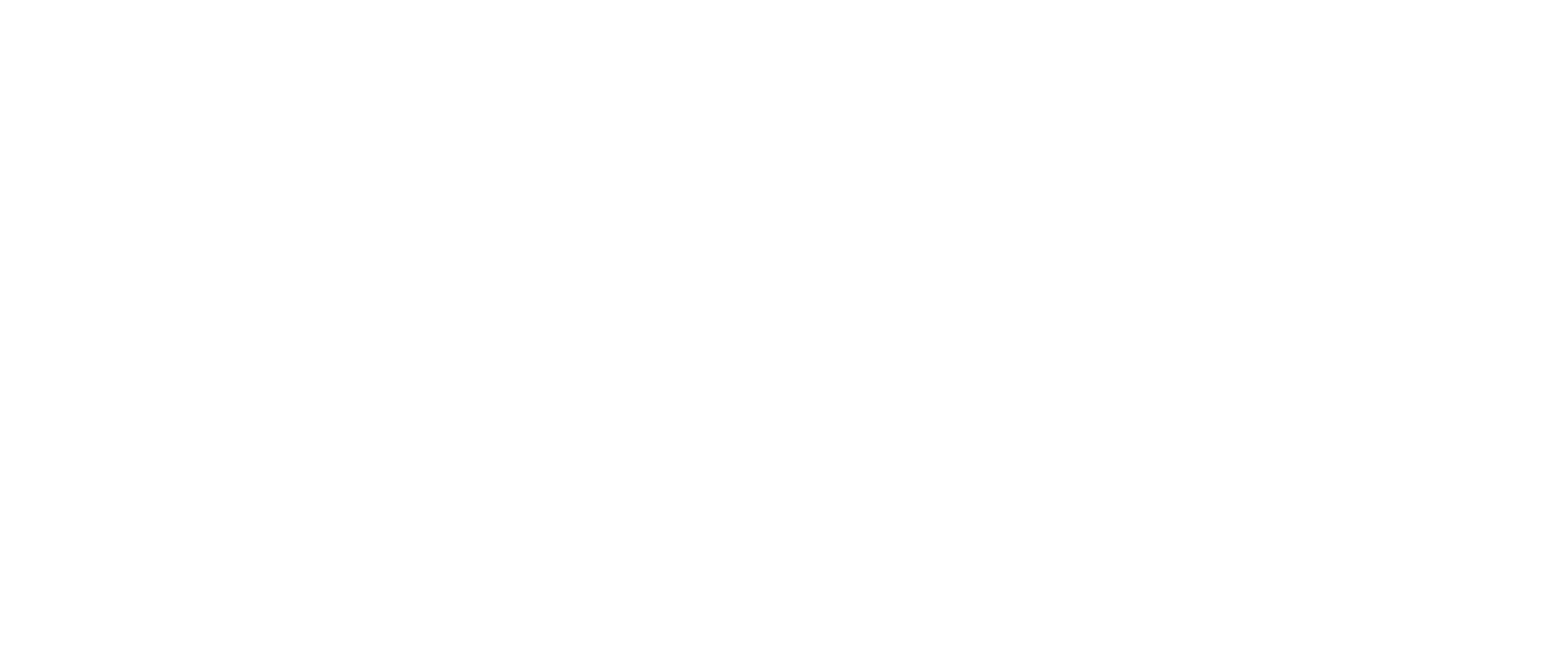 NELLY-LOGO-blk-1